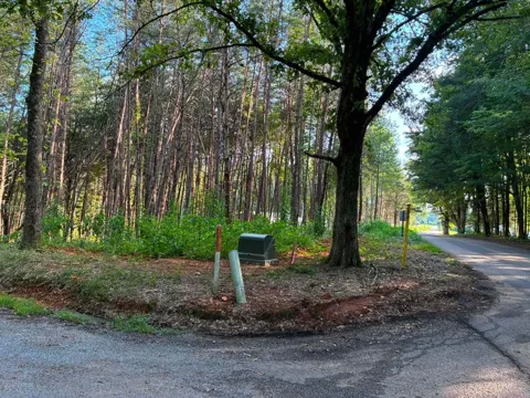 100 County Road 262 Lot 4