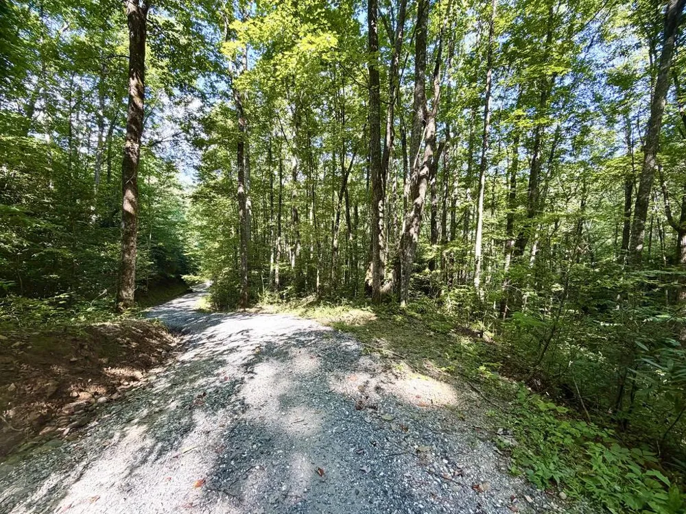 SR 1240 Sawyers Creek Road Robbinsville, NC 28771