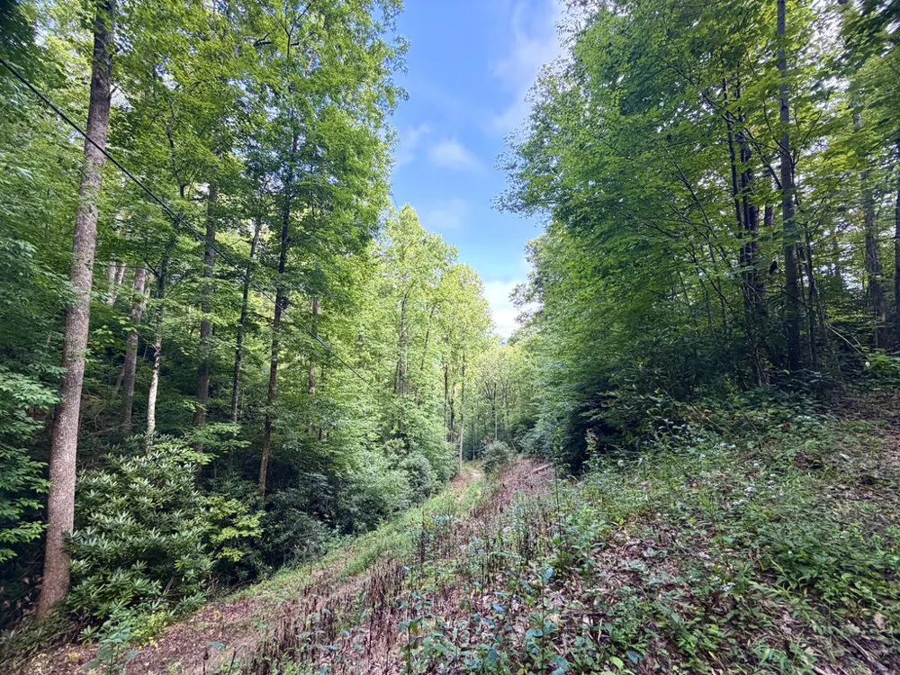 SR 1240 Sawyers Creek Road Robbinsville, NC 28771