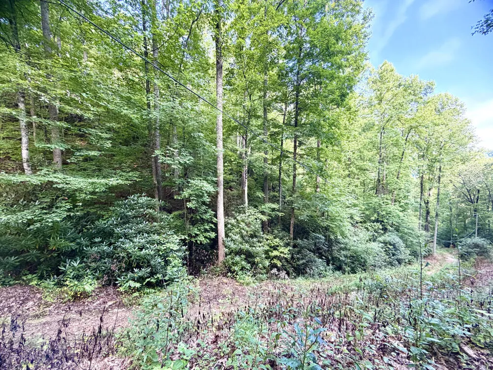 SR 1240 Sawyers Creek Road Robbinsville, NC 28771