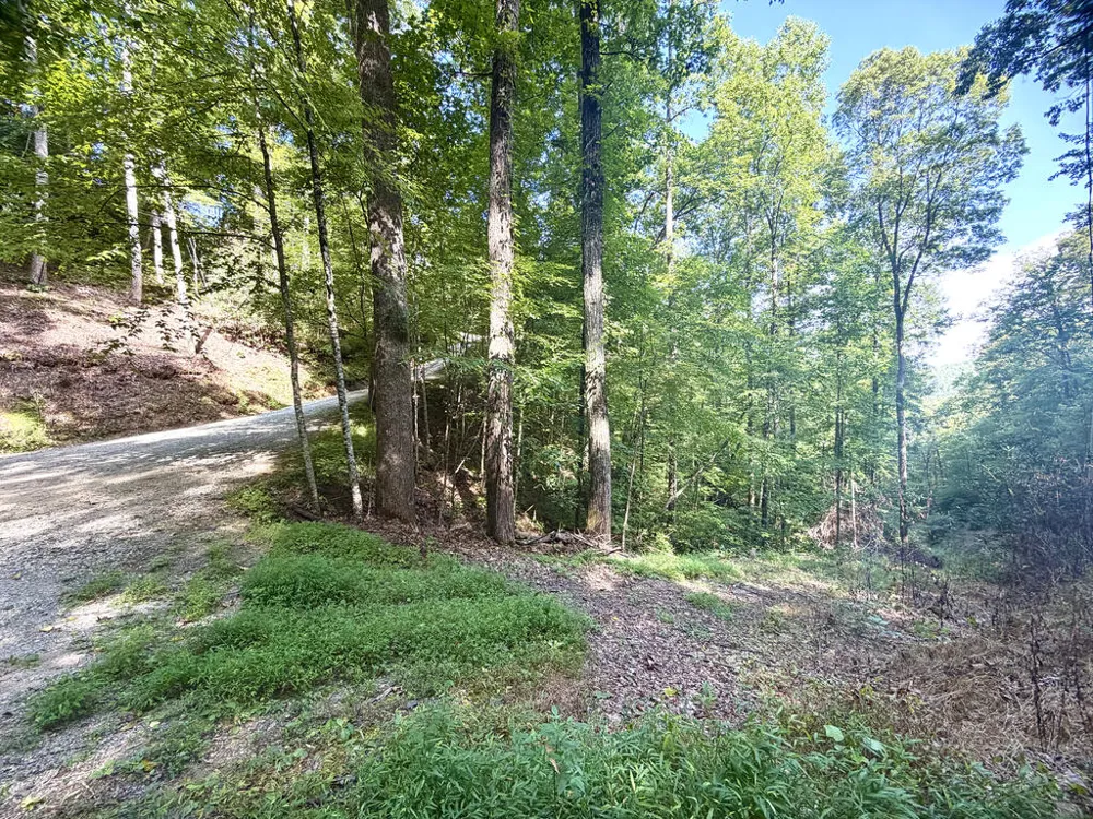 SR 1240 Sawyers Creek Road Robbinsville, NC 28771