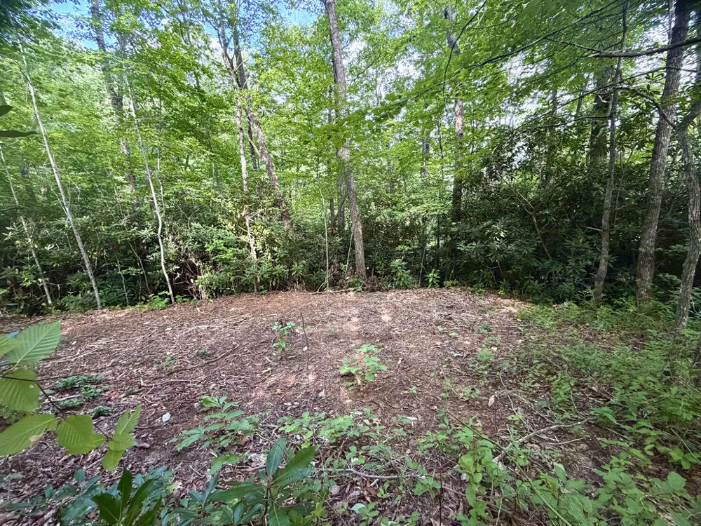 SR 1240 Sawyers Creek Road Robbinsville, NC 28771