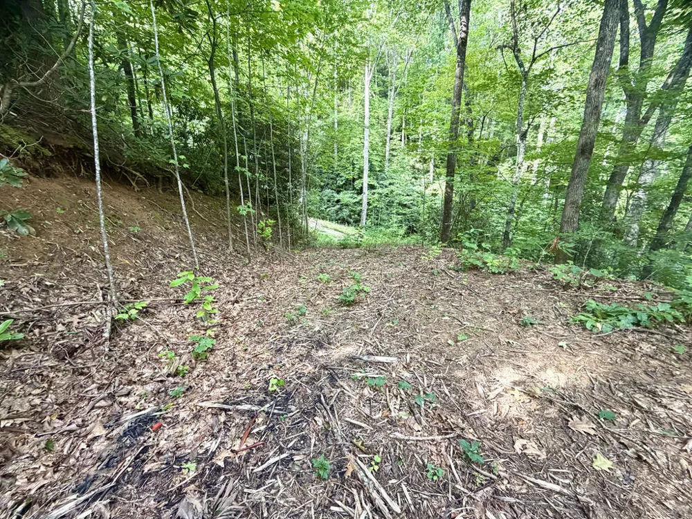 SR 1240 Sawyers Creek Road Robbinsville, NC 28771