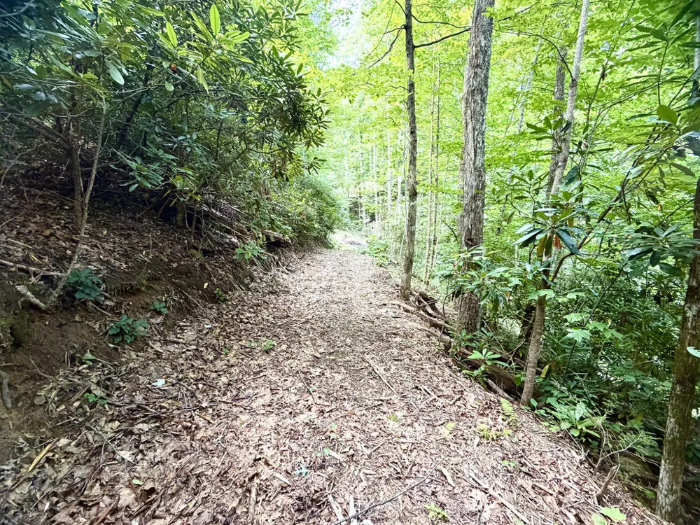 SR 1240 Sawyers Creek Road Robbinsville, NC 28771