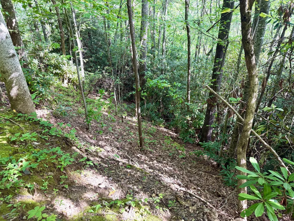 SR 1240 Sawyers Creek Road Robbinsville, NC 28771