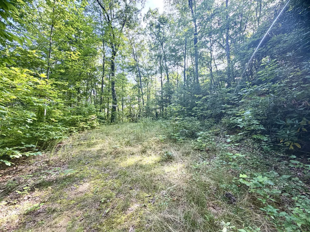 SR 1240 Sawyers Creek Road Robbinsville, NC 28771