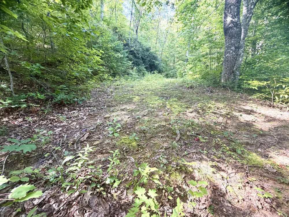 SR 1240 Sawyers Creek Road Robbinsville, NC 28771