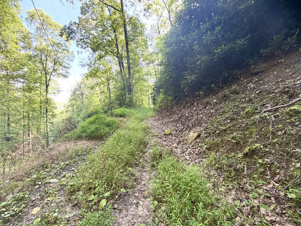 SR 1240 Sawyers Creek Road Robbinsville, NC 28771
