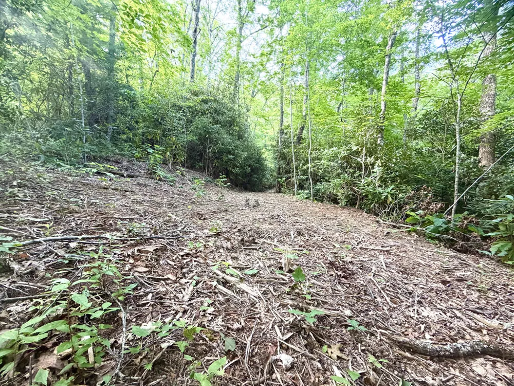 SR 1240 Sawyers Creek Road Robbinsville, NC 28771