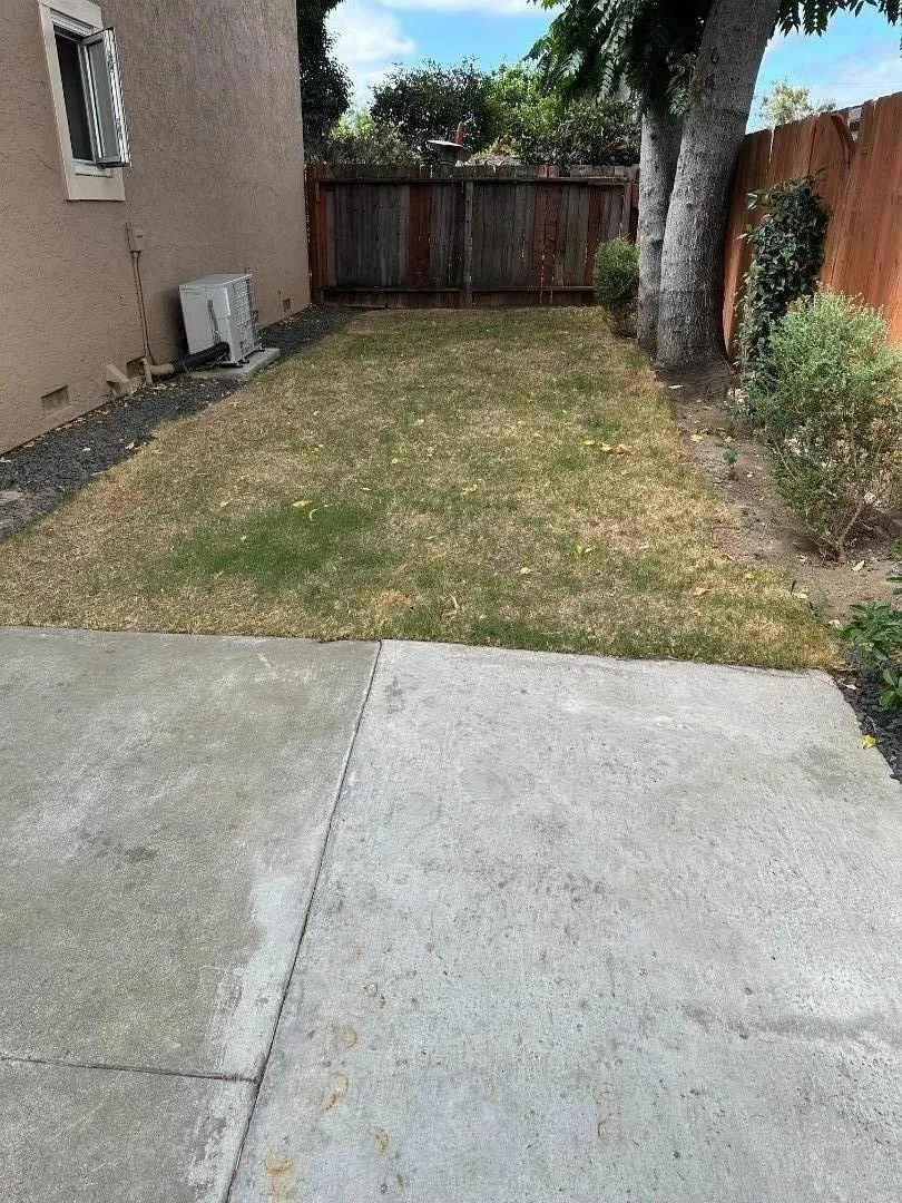 715 Locust Street San Jose, CA 95110