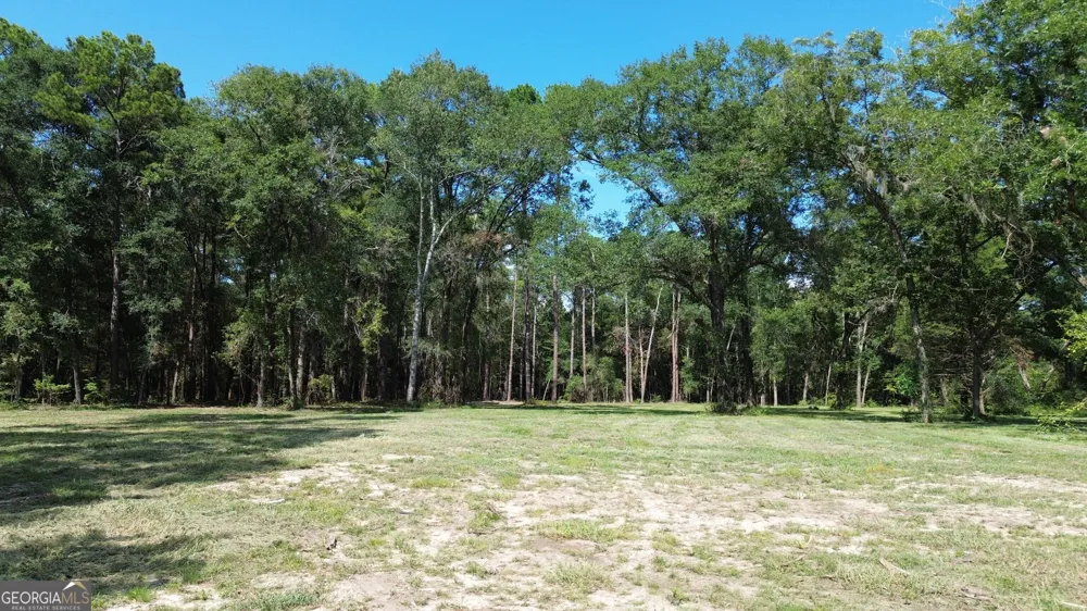 1046 Homer Bunch RD Statesboro, GA 30461