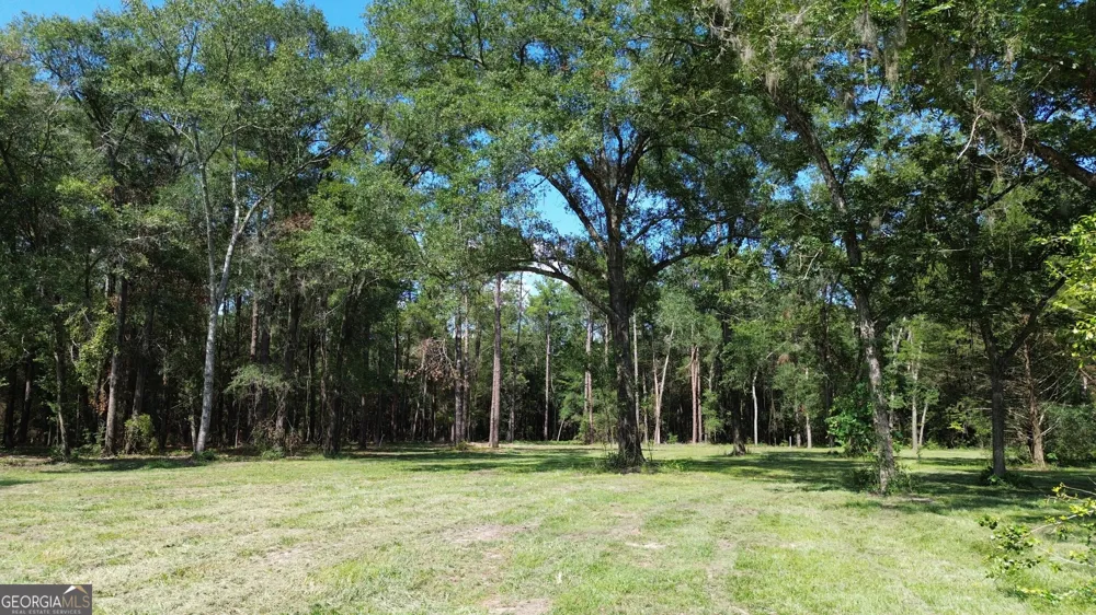 1046 Homer Bunch RD Statesboro, GA 30461