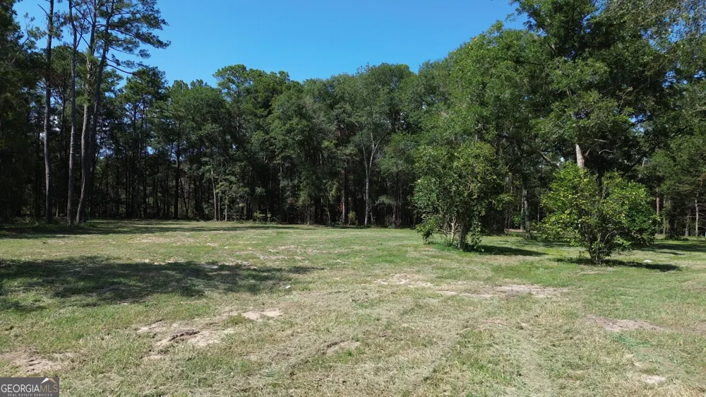 1046 Homer Bunch RD Statesboro, GA 30461