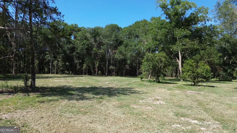 1046 Homer Bunch RD Statesboro, GA 30461