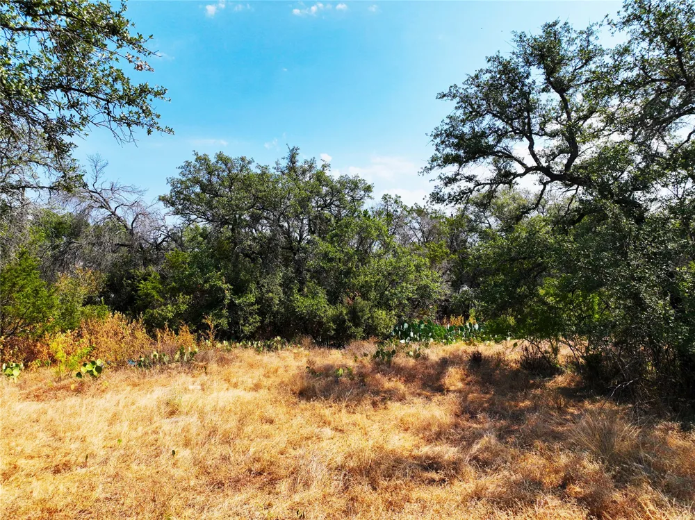 25000 Andrew Drive Spicewood, TX 78669