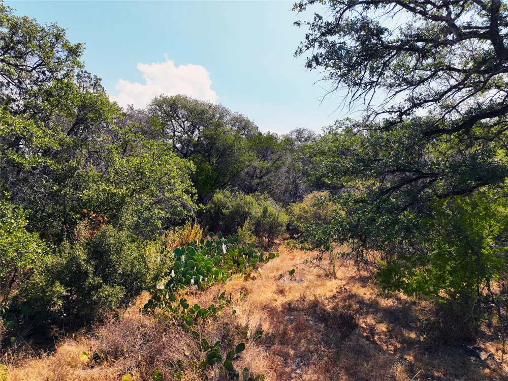 25000 Andrew Drive Spicewood, TX 78669