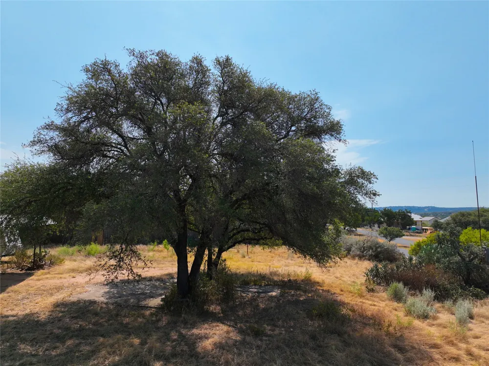 25000 Andrew Drive Spicewood, TX 78669