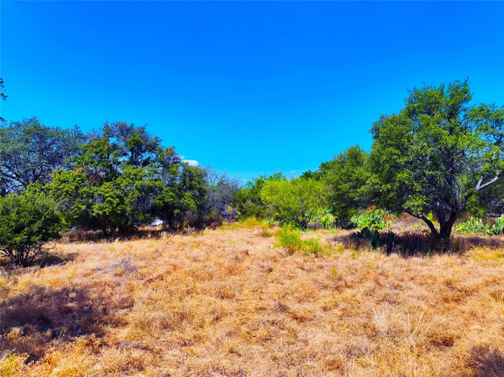 25000 Andrew Drive Spicewood, TX 78669