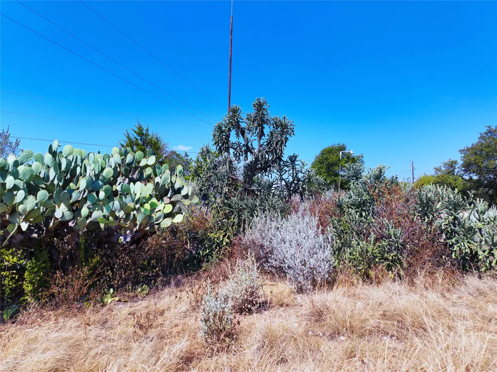 25000 Andrew Drive Spicewood, TX 78669