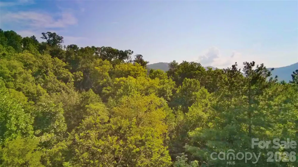 99999 Elk Mountain Ridge #13 Asheville, NC 28804