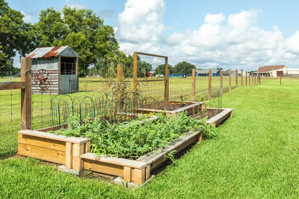 1428 Palomino Trail Angleton, TX 77515