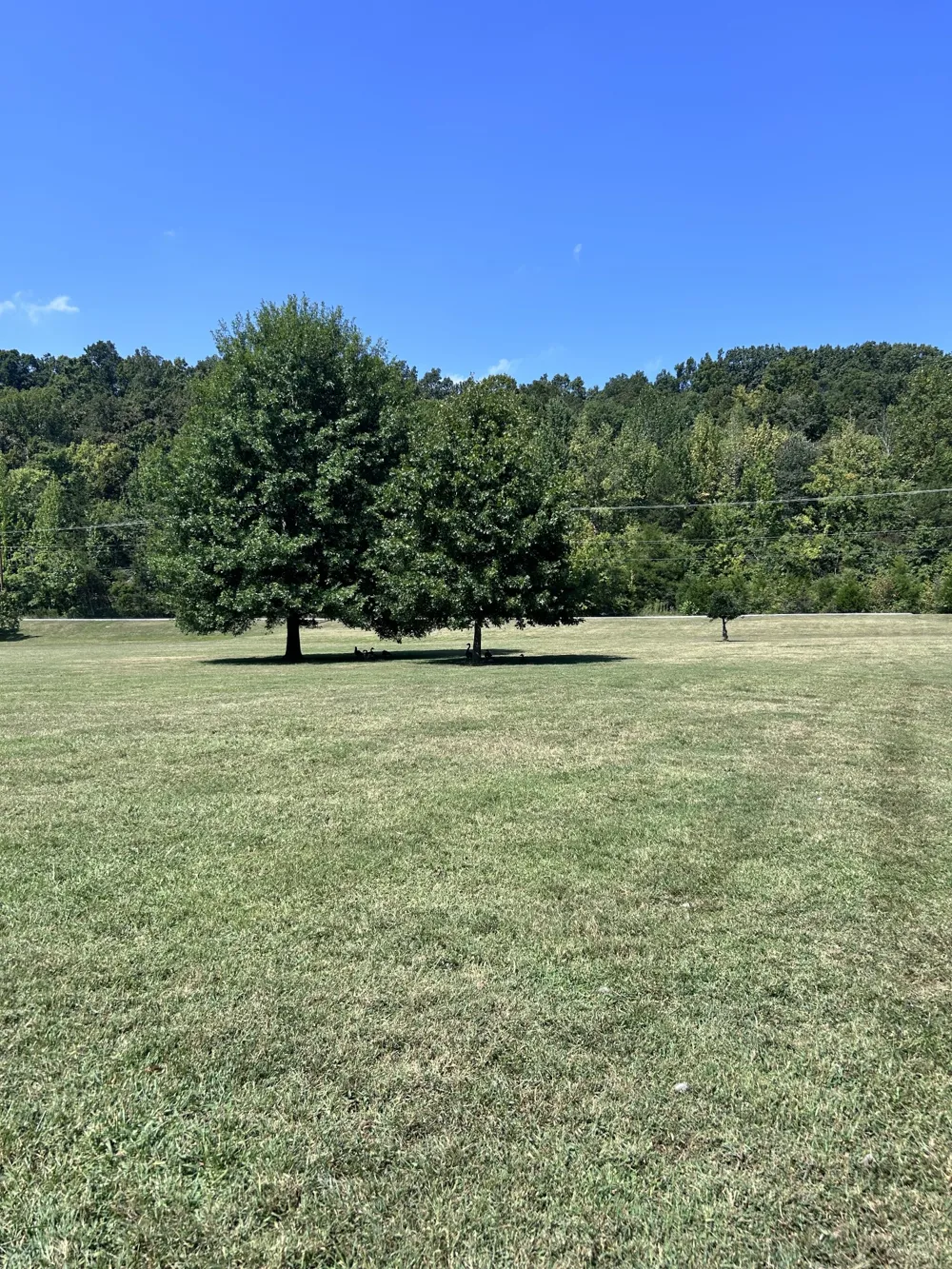 214 Old Hickory Blvd #137 Nashville, TN 37221