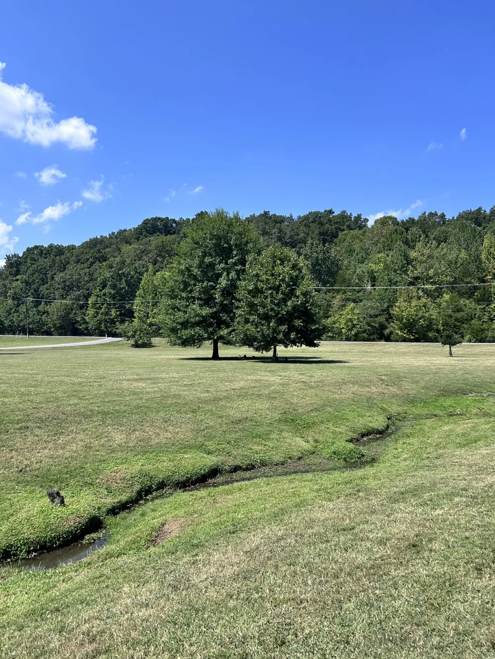 214 Old Hickory Blvd #137 Nashville, TN 37221