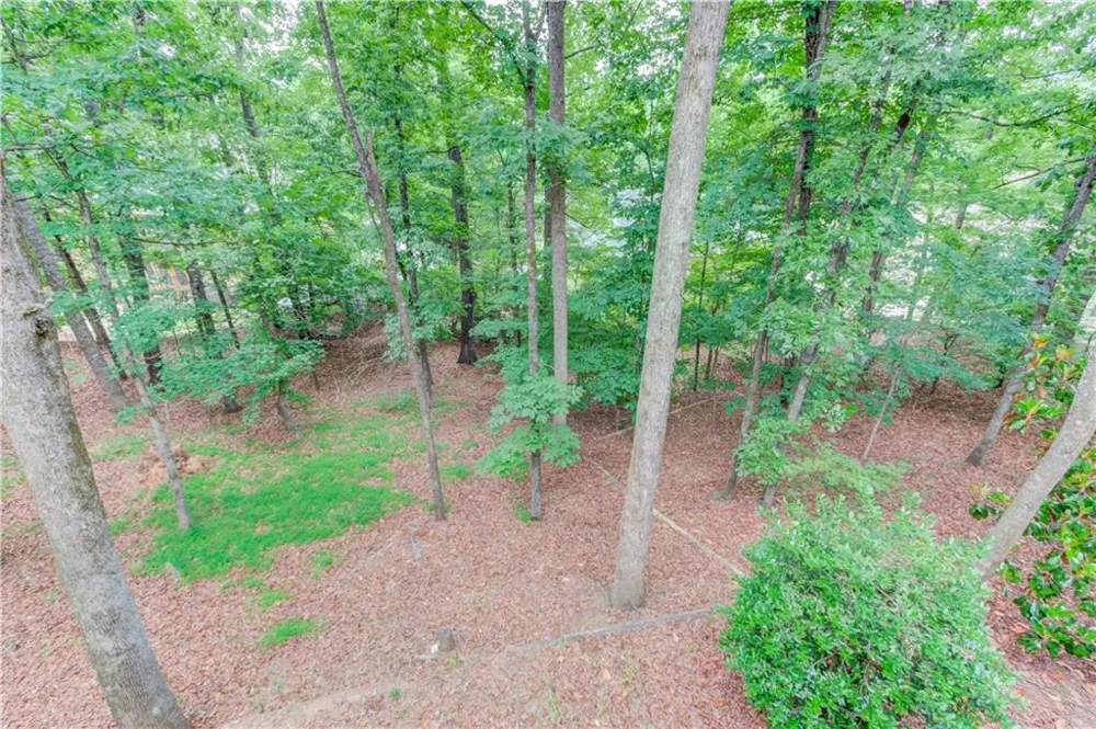 1920 Woods River Lane Duluth, GA 30097