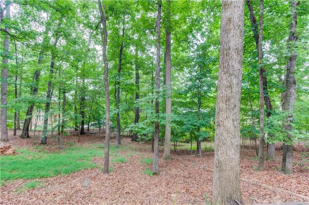 1920 Woods River Lane Duluth, GA 30097