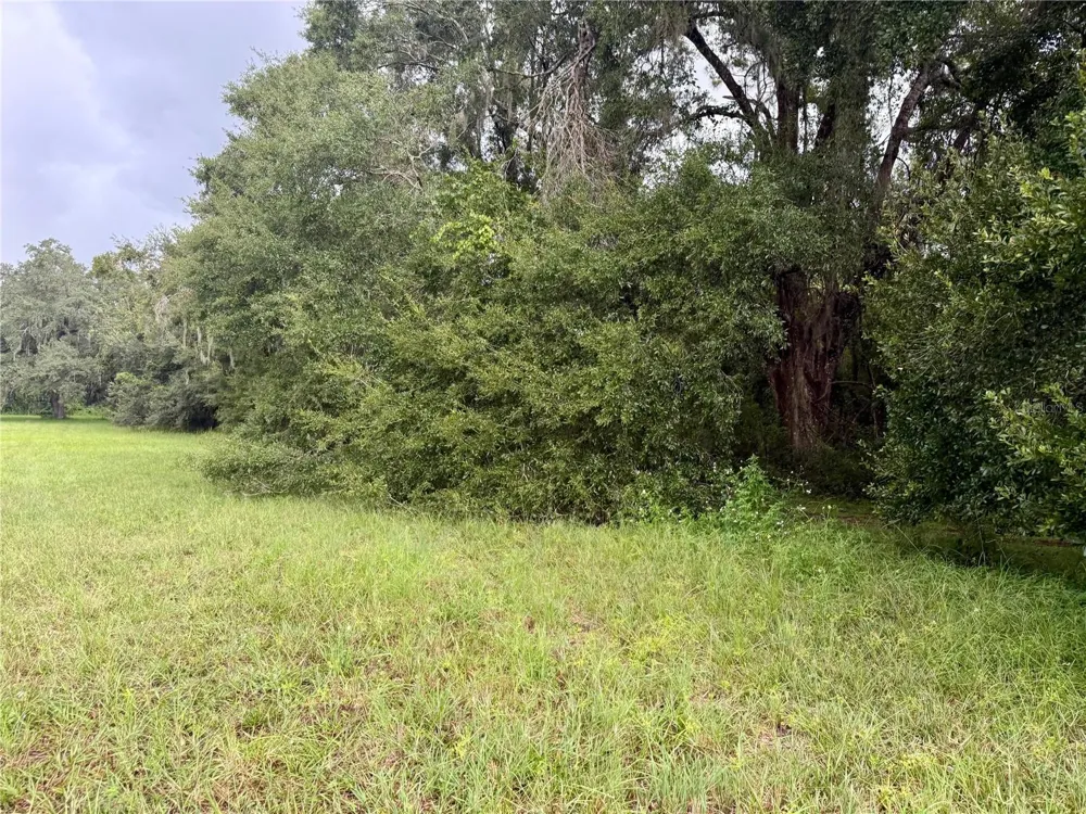 0 STATE ROAD 471 Webster, FL 33597