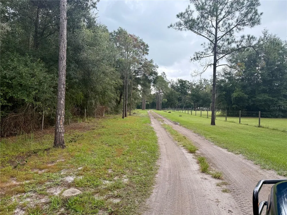 0 STATE ROAD 471 Webster, FL 33597
