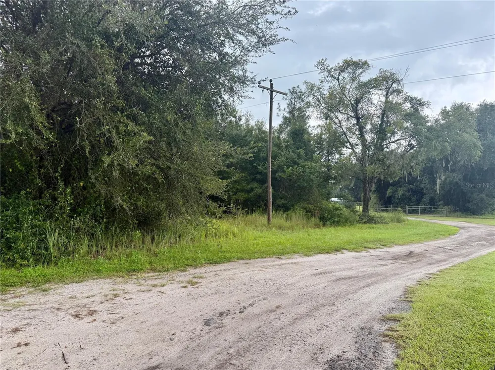 0 STATE ROAD 471 Webster, FL 33597