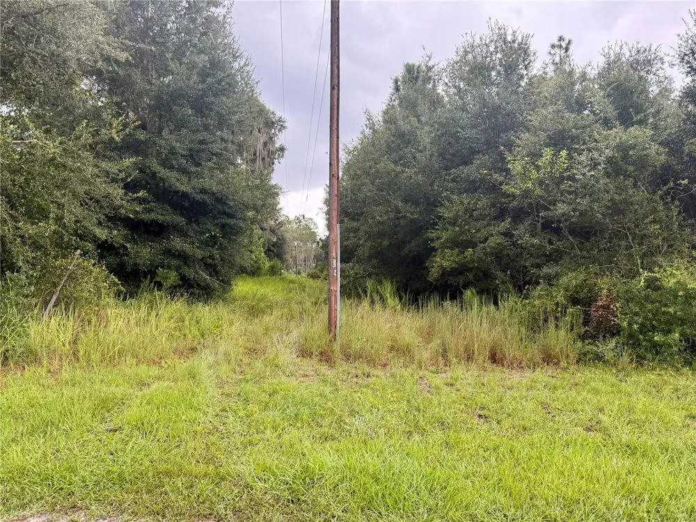 0 STATE ROAD 471 Webster, FL 33597