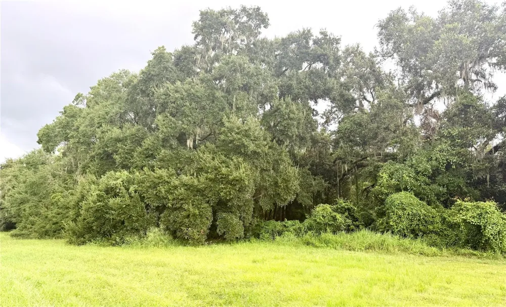0 STATE ROAD 471 Webster, FL 33597