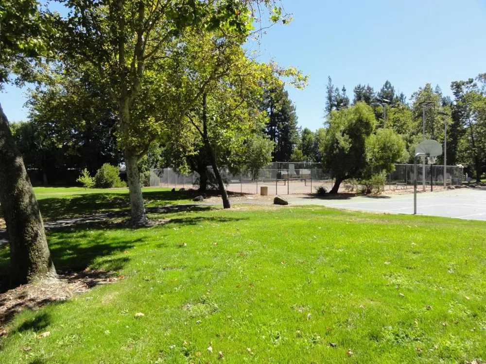887 Santa Dorotea Circle Rohnert Park, CA 94928