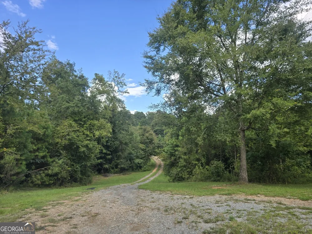 119 Bagley RD Forsyth, GA 31029