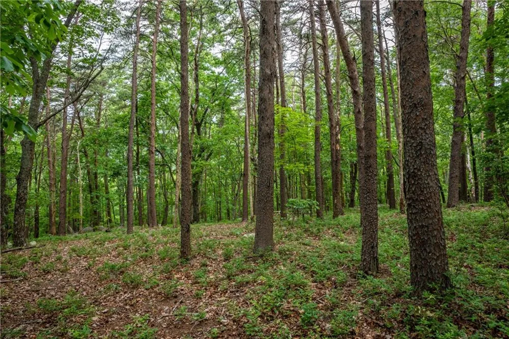 206R Mystic Trail Lane Jasper, GA 30143