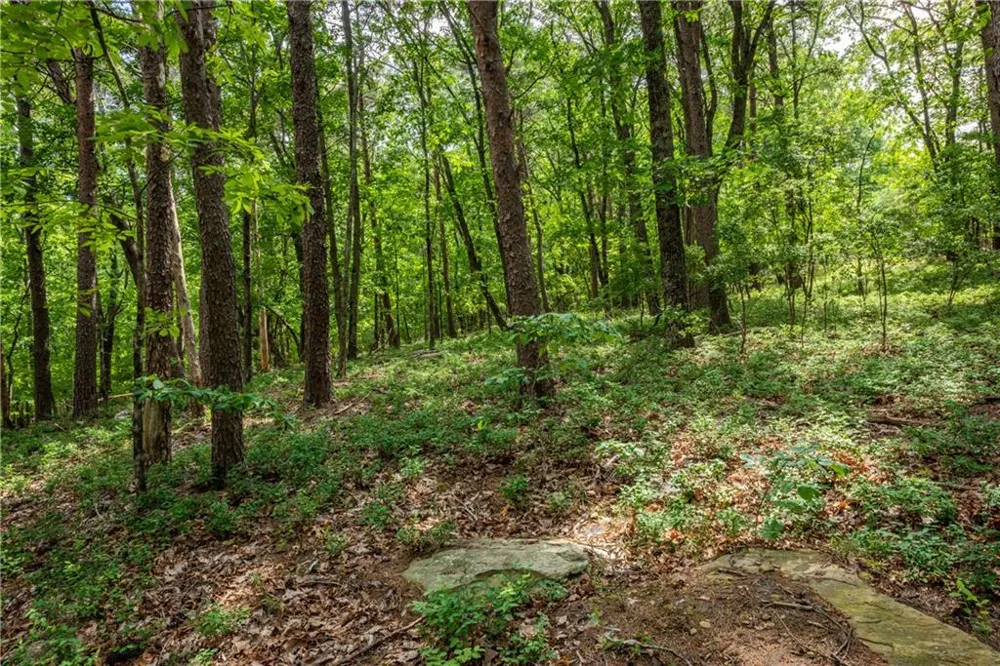 206R Mystic Trail Lane Jasper, GA 30143