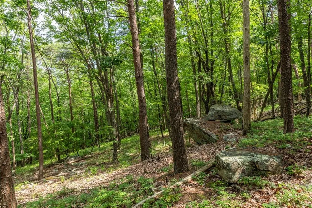 206R Mystic Trail Lane Jasper, GA 30143