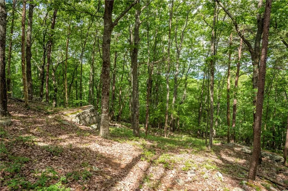 206R Mystic Trail Lane Jasper, GA 30143