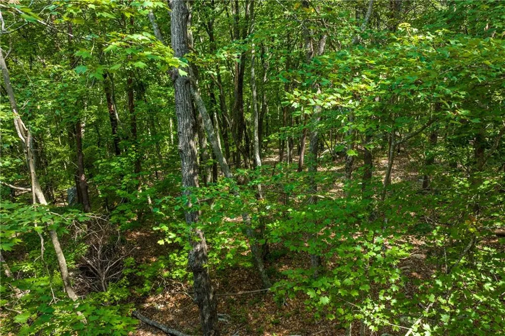 206R Mystic Trail Lane Jasper, GA 30143
