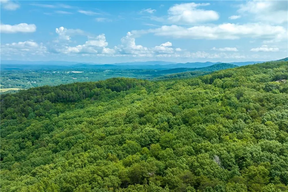 206R Mystic Trail Lane Jasper, GA 30143