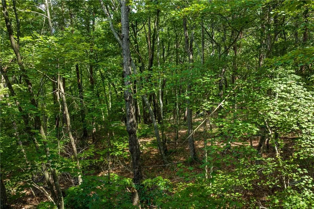 206R Mystic Trail Lane Jasper, GA 30143