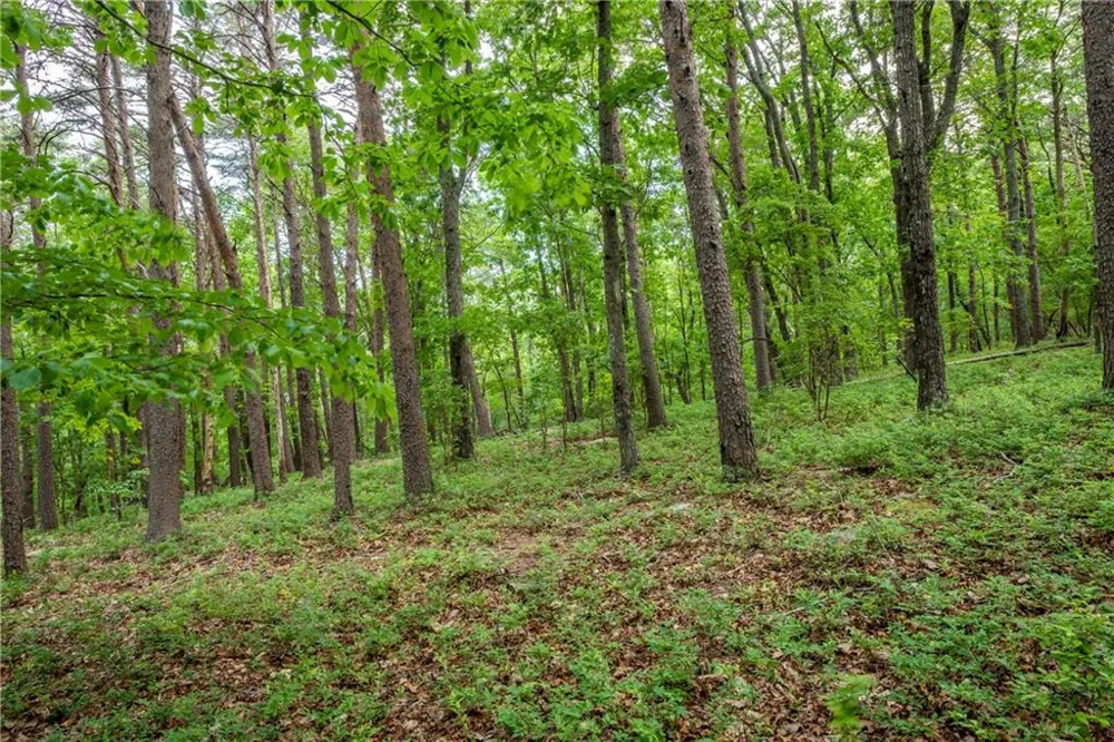 206R Mystic Trail Lane Jasper, GA 30143