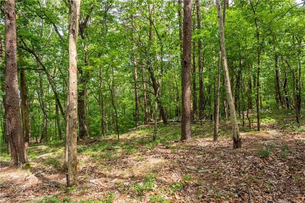 206R Mystic Trail Lane Jasper, GA 30143