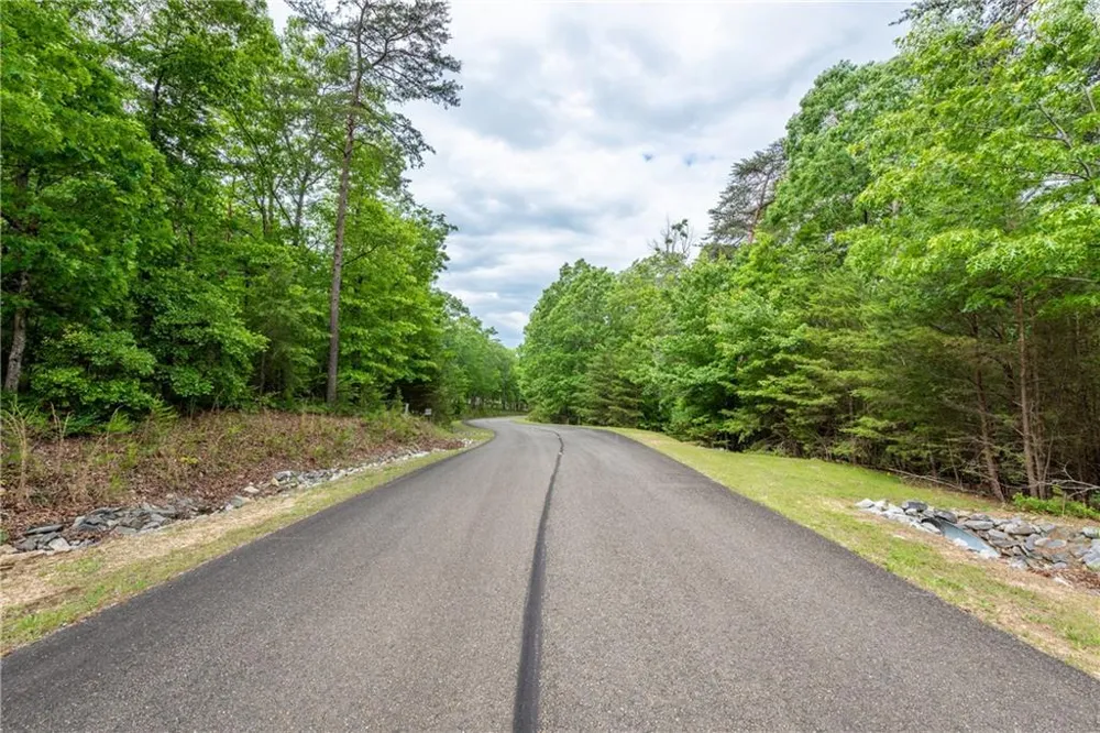 206R Mystic Trail Lane Jasper, GA 30143