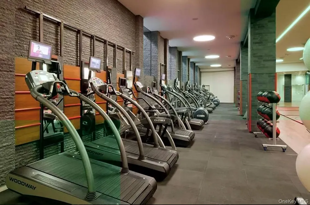 50 Riverside Boulevard #15M New York (Manhattan), NY 10069