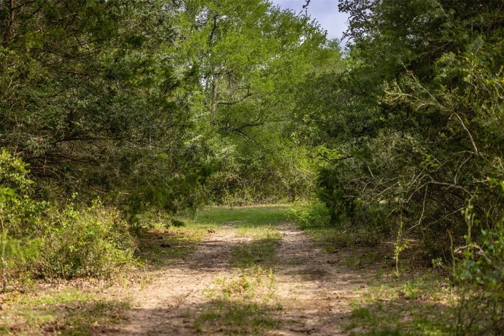 US Hwy 77 S Giddings, TX 78942