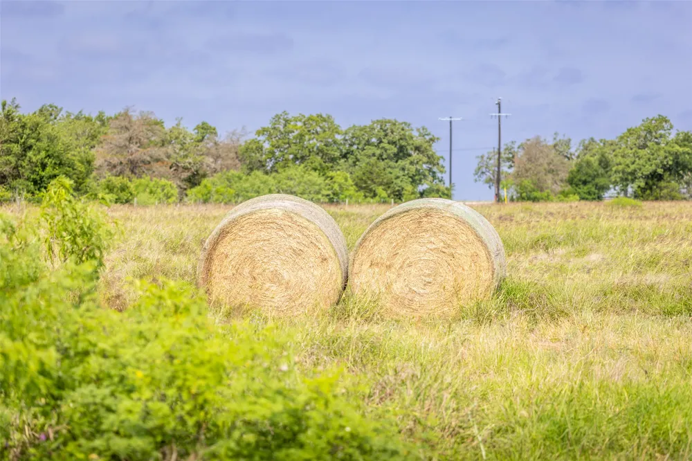 US Hwy 77 S Giddings, TX 78942