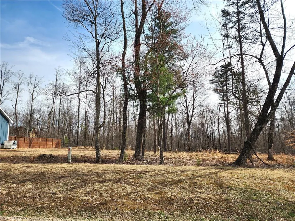 587 Seven Springs Parkway Ararat, VA 24328